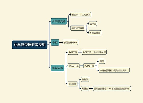医学知识化学感受器呼吸反射思维导图