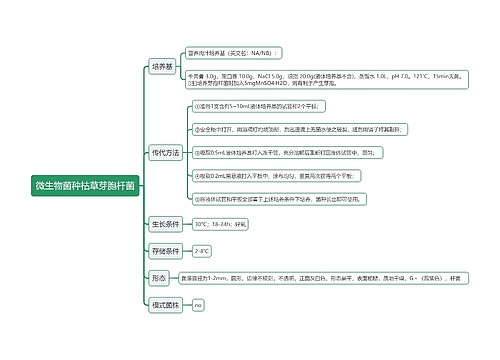 微生物菌种枯草芽胞杆菌思维导图