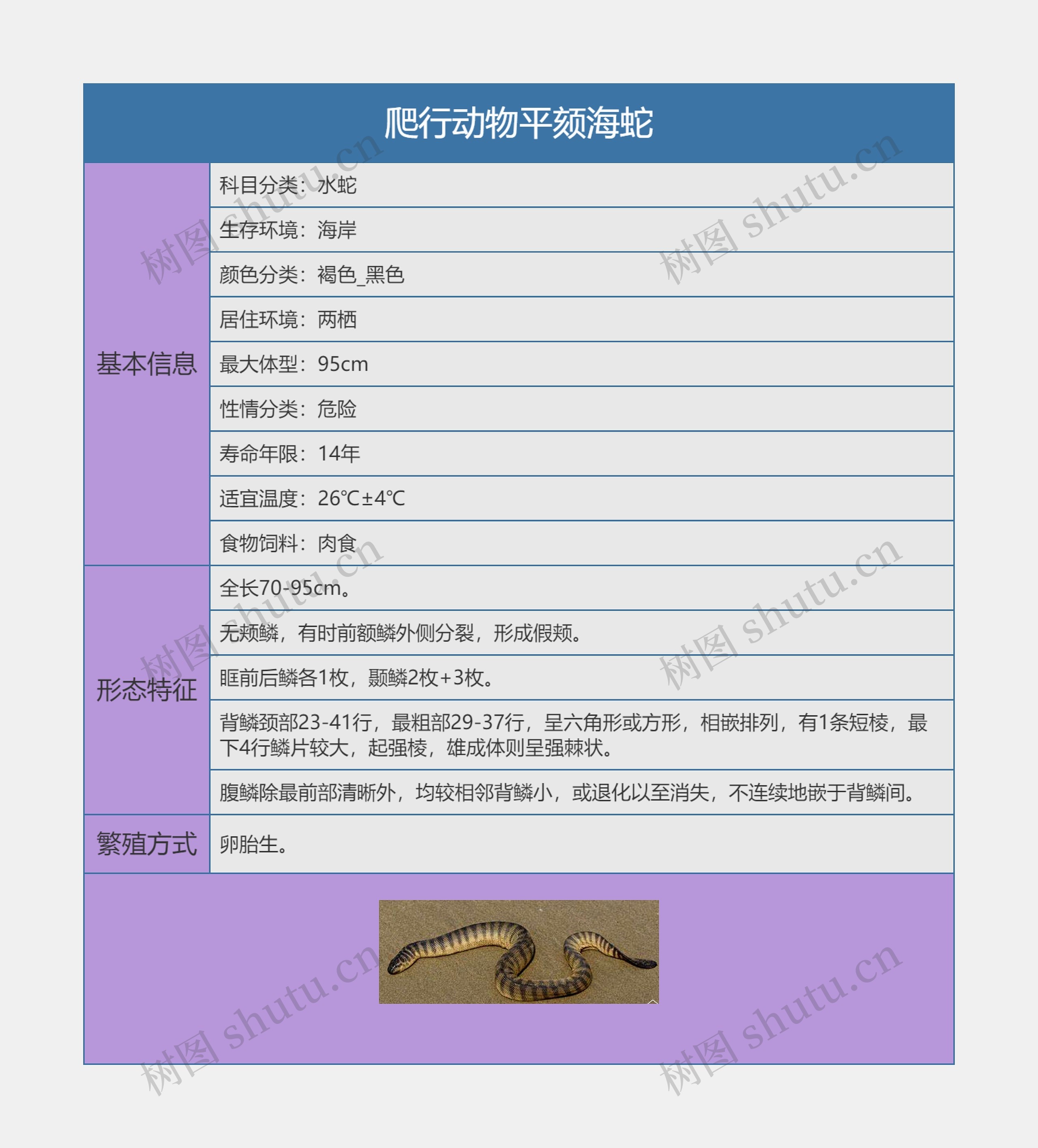 爬行动物平颏海蛇思维导图