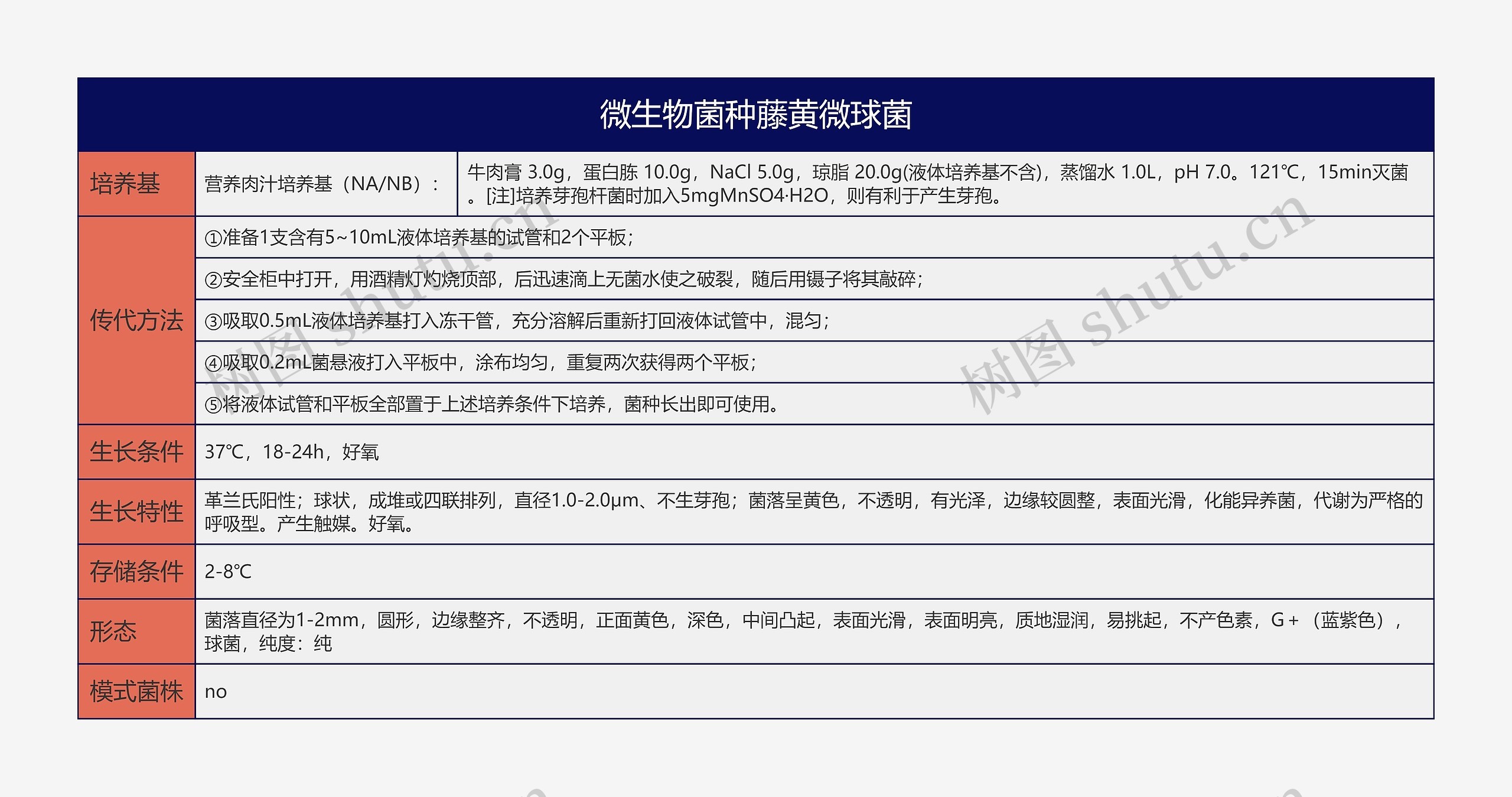 微生物菌种藤黄微球菌思维导图