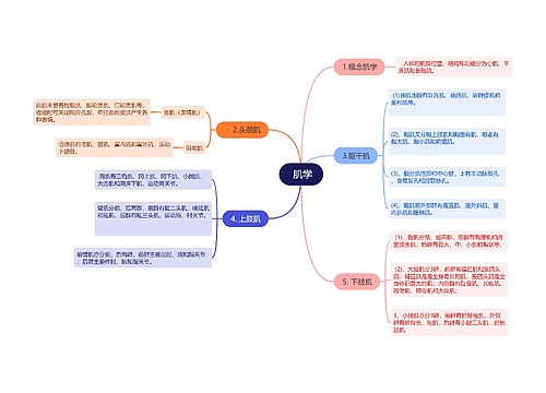  肌学思维导图