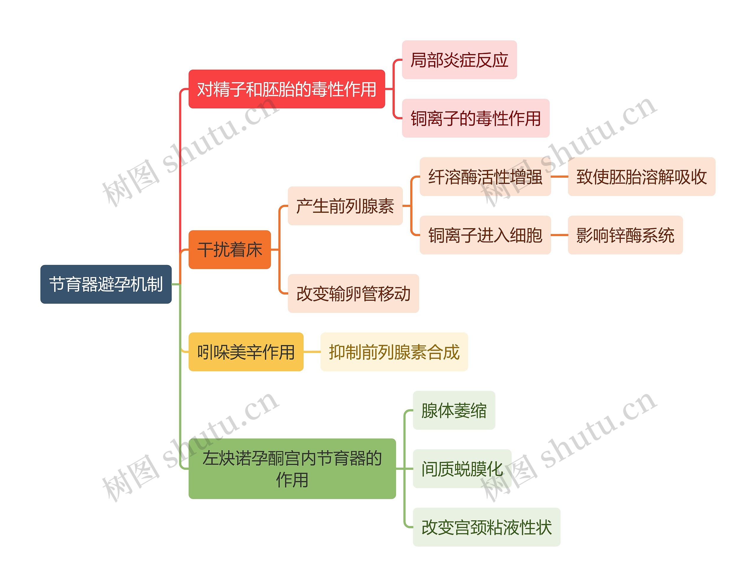医学知识节育器避孕机制思维导图