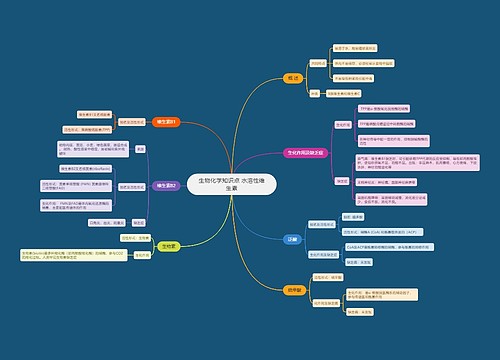 生物化学知识点 水溶性维生素