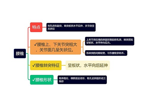 医学知识腰椎思维导图