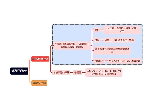 医学知识磷脂的代谢思维导图