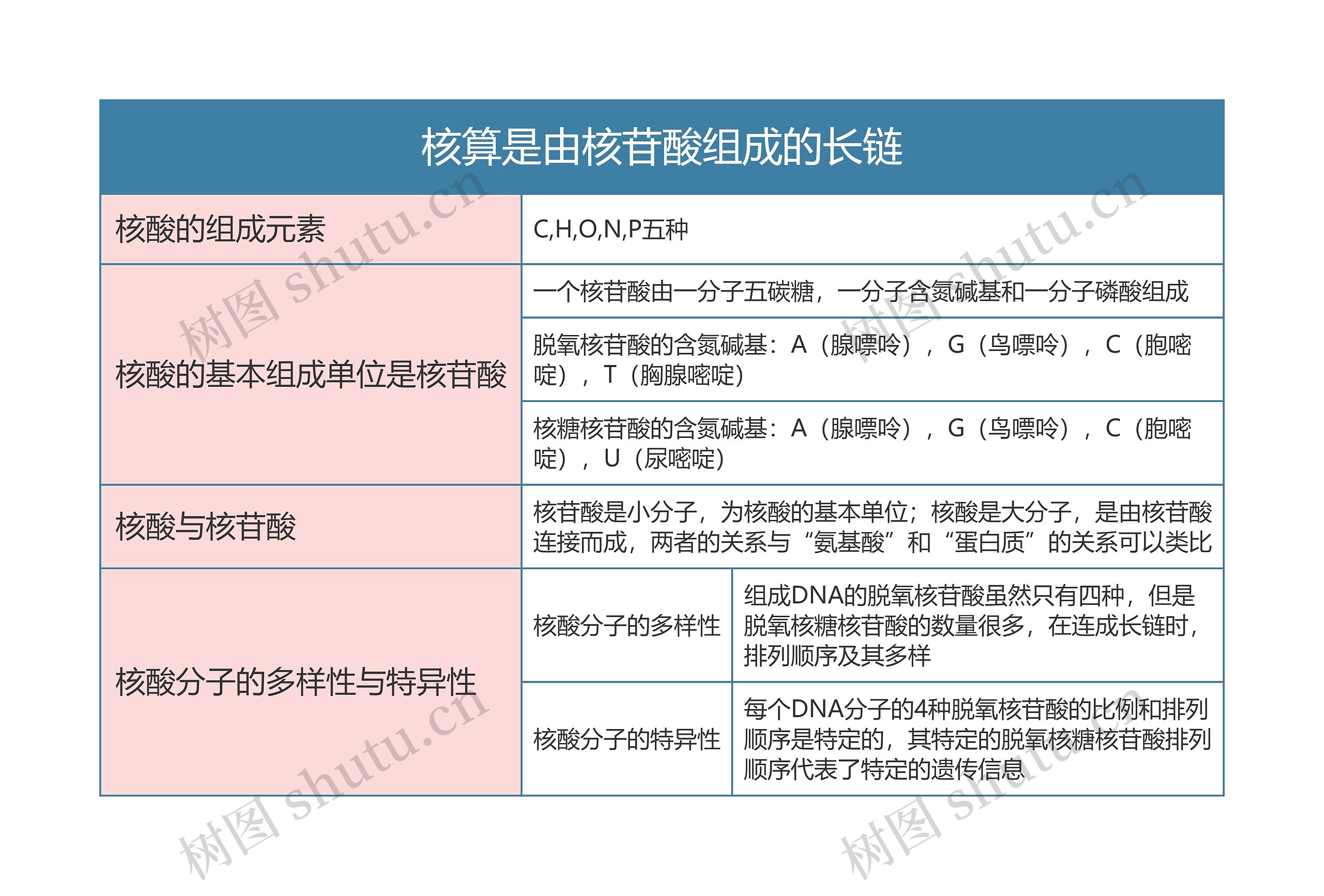 高中生物必修一核算是由核苷酸组成的长链思维导图