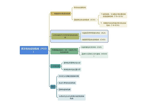 医学知识原发性免疫缺陷病（PIDD）思维导图