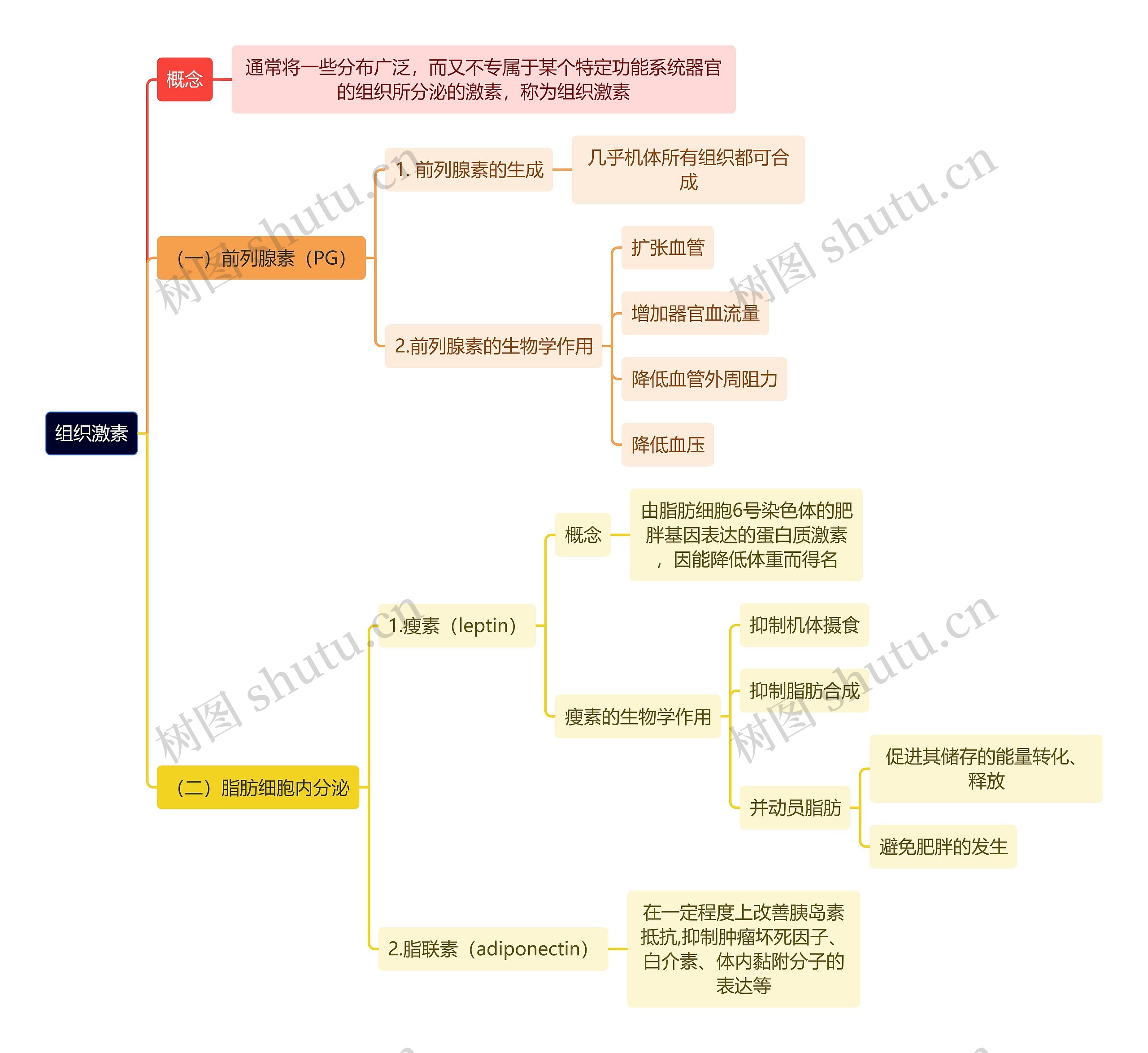 医学知识组织激素思维导图