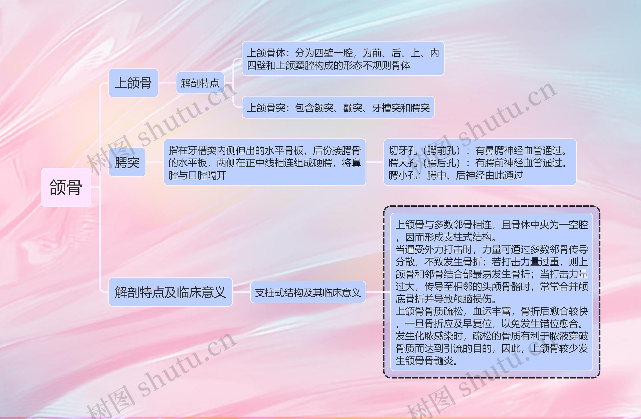 医学知识口腔颌骨思维导图