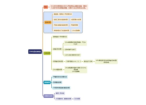 医学知识DNA损伤修复思维导图