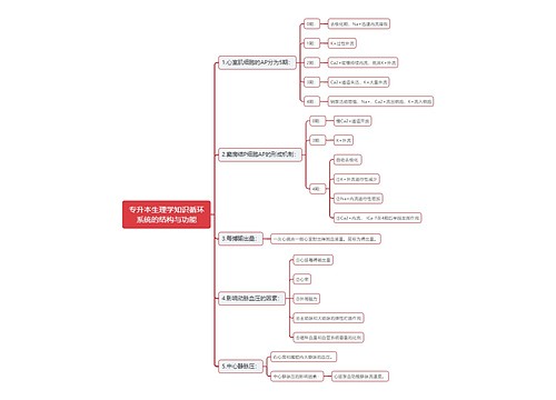 专升本生理学知识循环系统的结构与功能思维导图