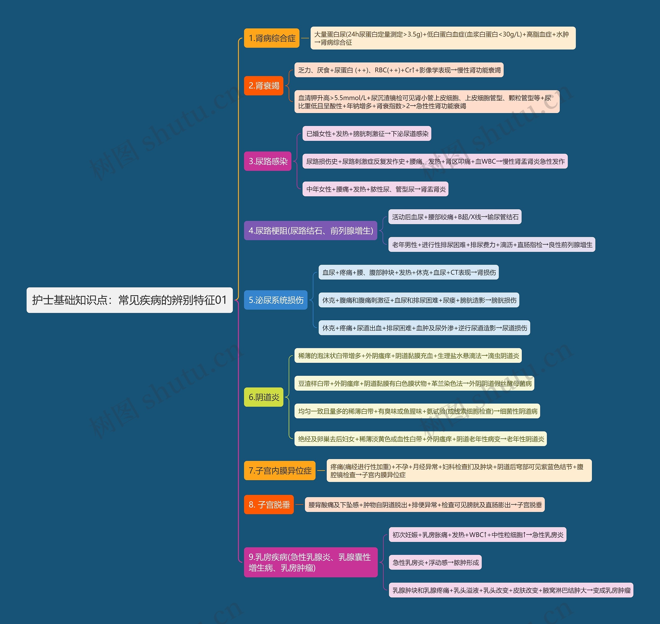 护士基础知识点：常见疾病的辨别特征01思维导图