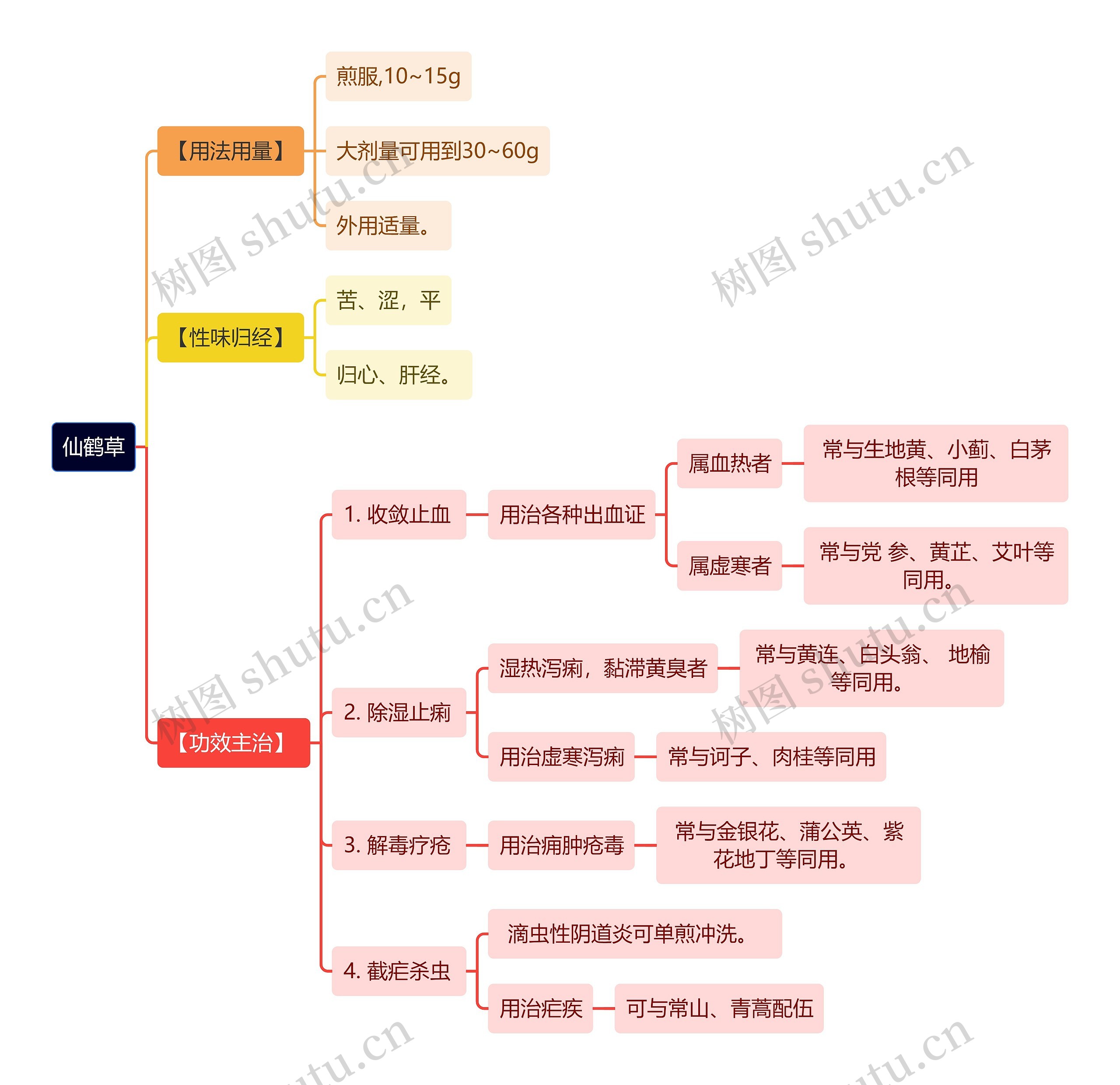 中医知识仙鹤草思维导图