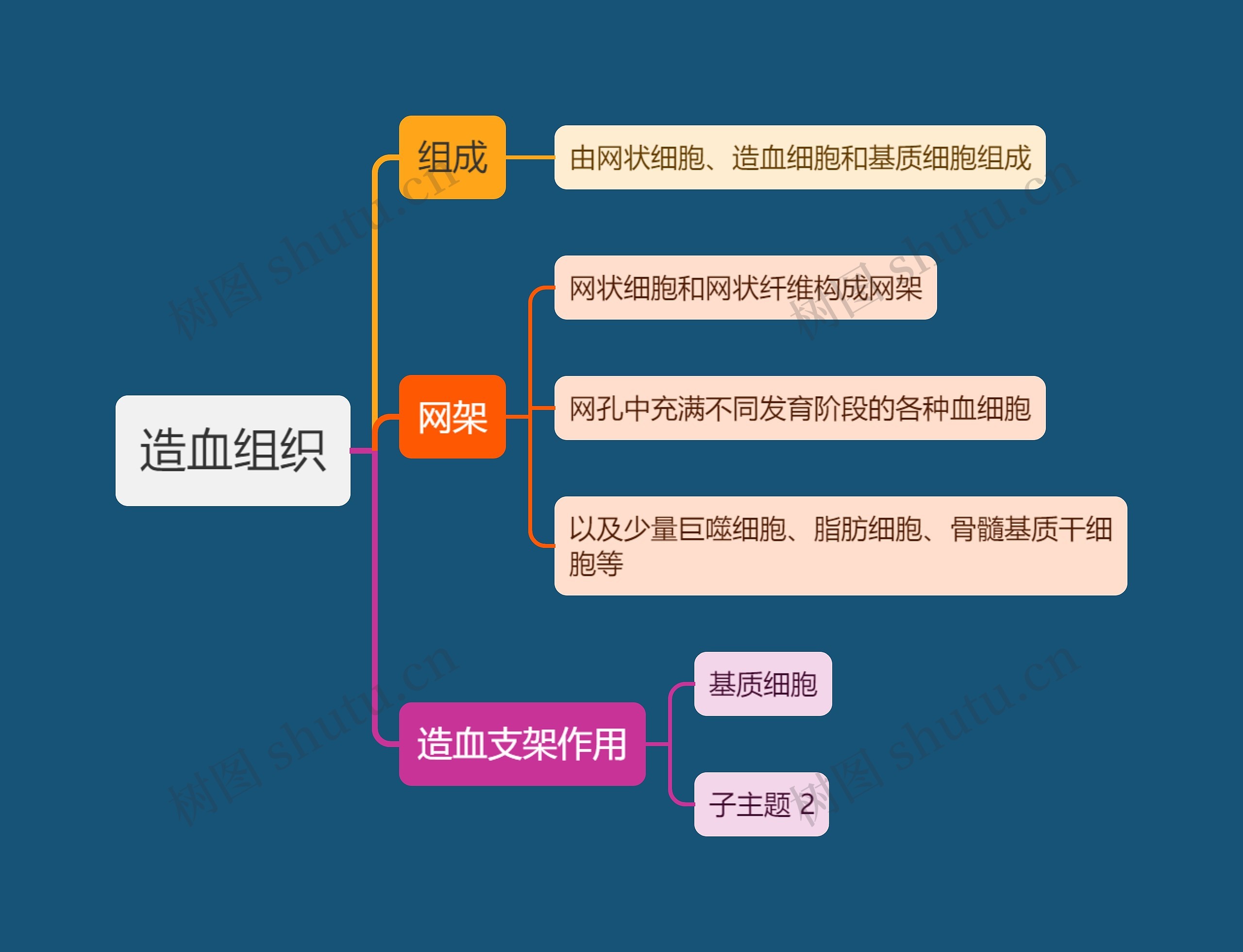 医学知识造血组织思维导图