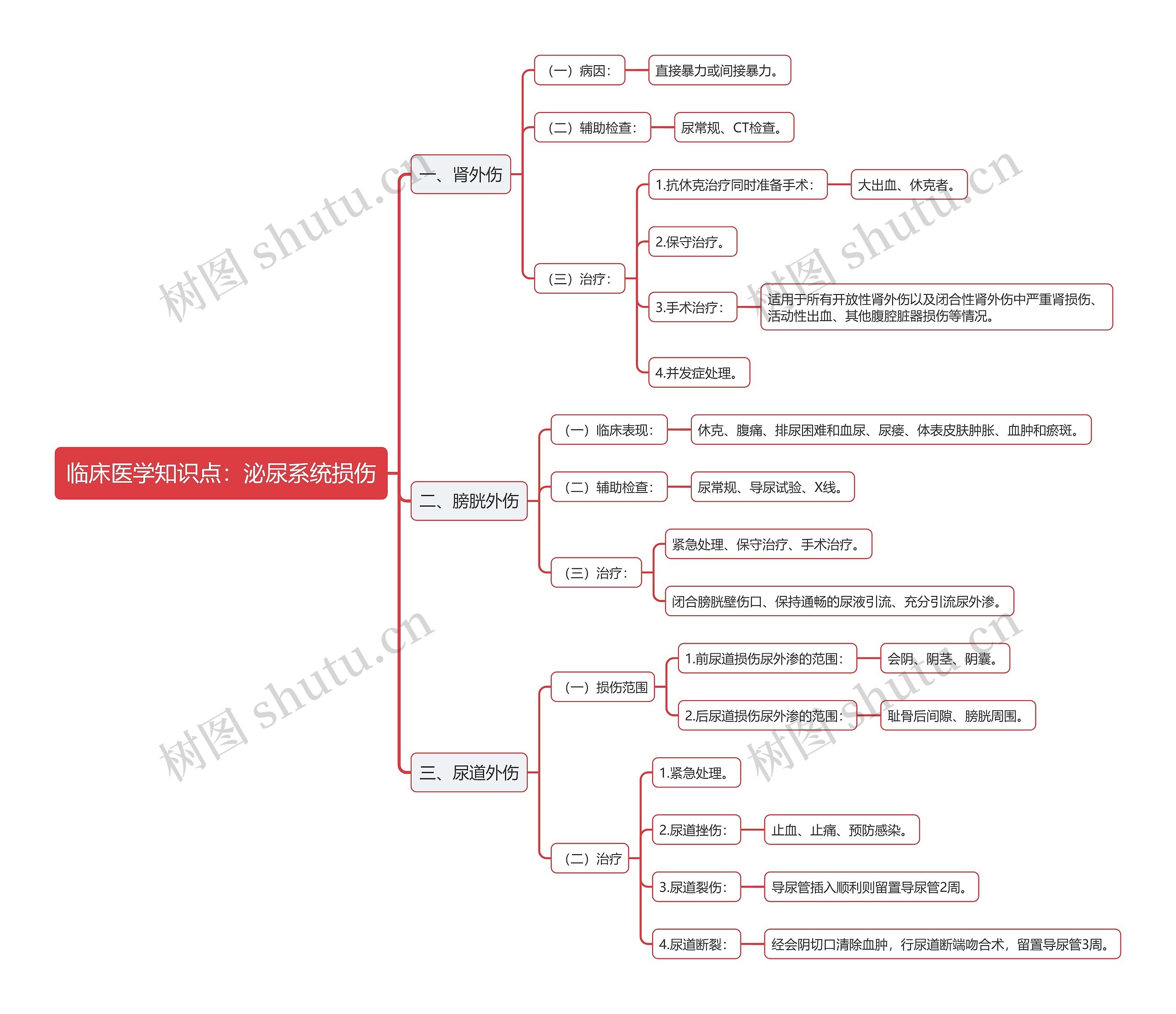 临床医学知识点：泌尿系统损伤思维导图