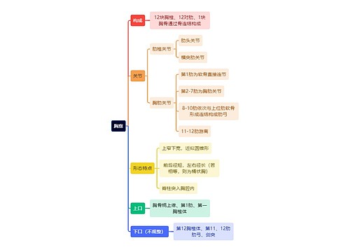 解剖学知识胸廓思维导图