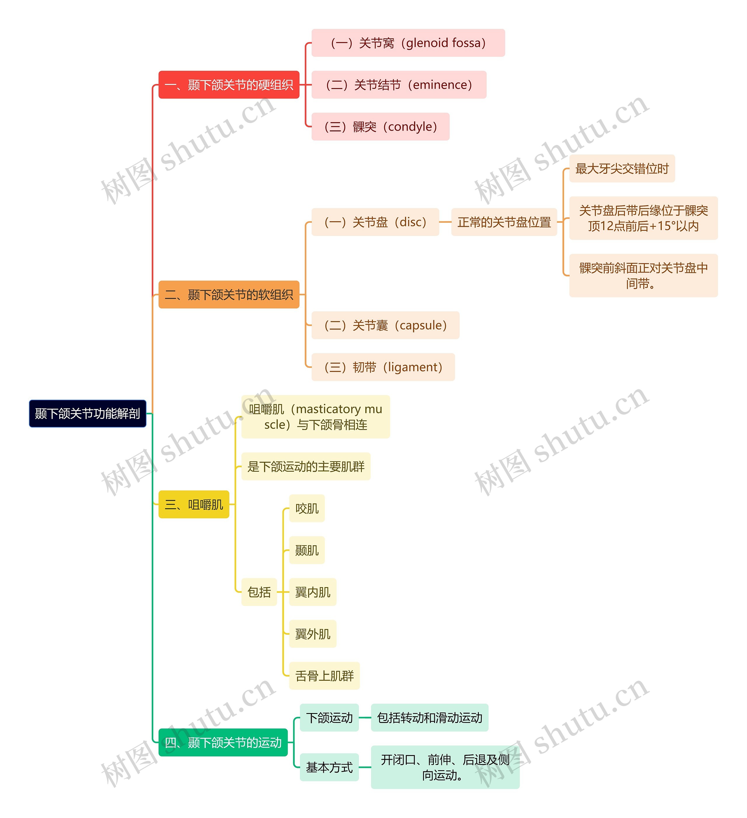 医学知识颞下颌关节功能解剖思维导图