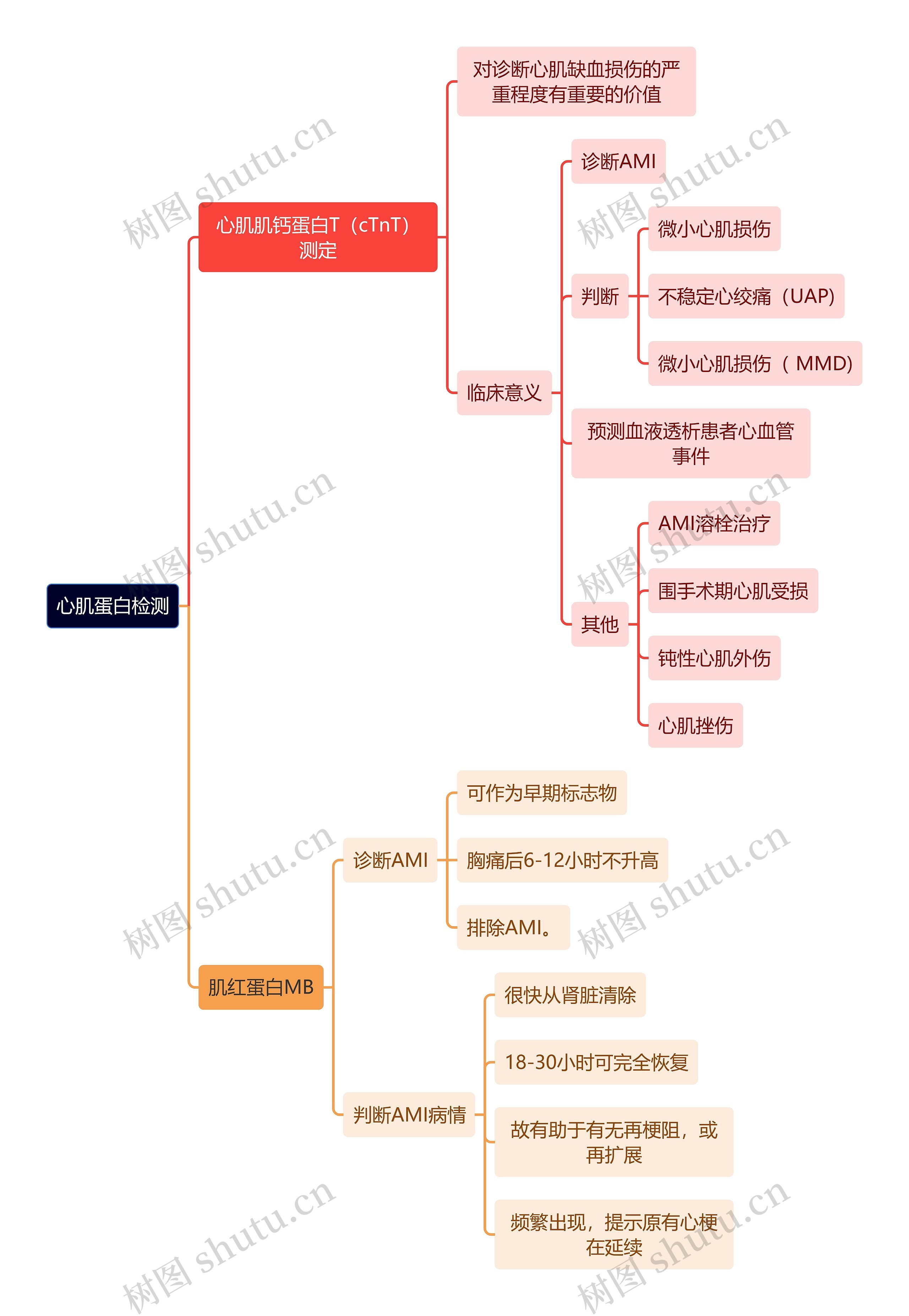 医学知识心肌蛋白检测思维导图