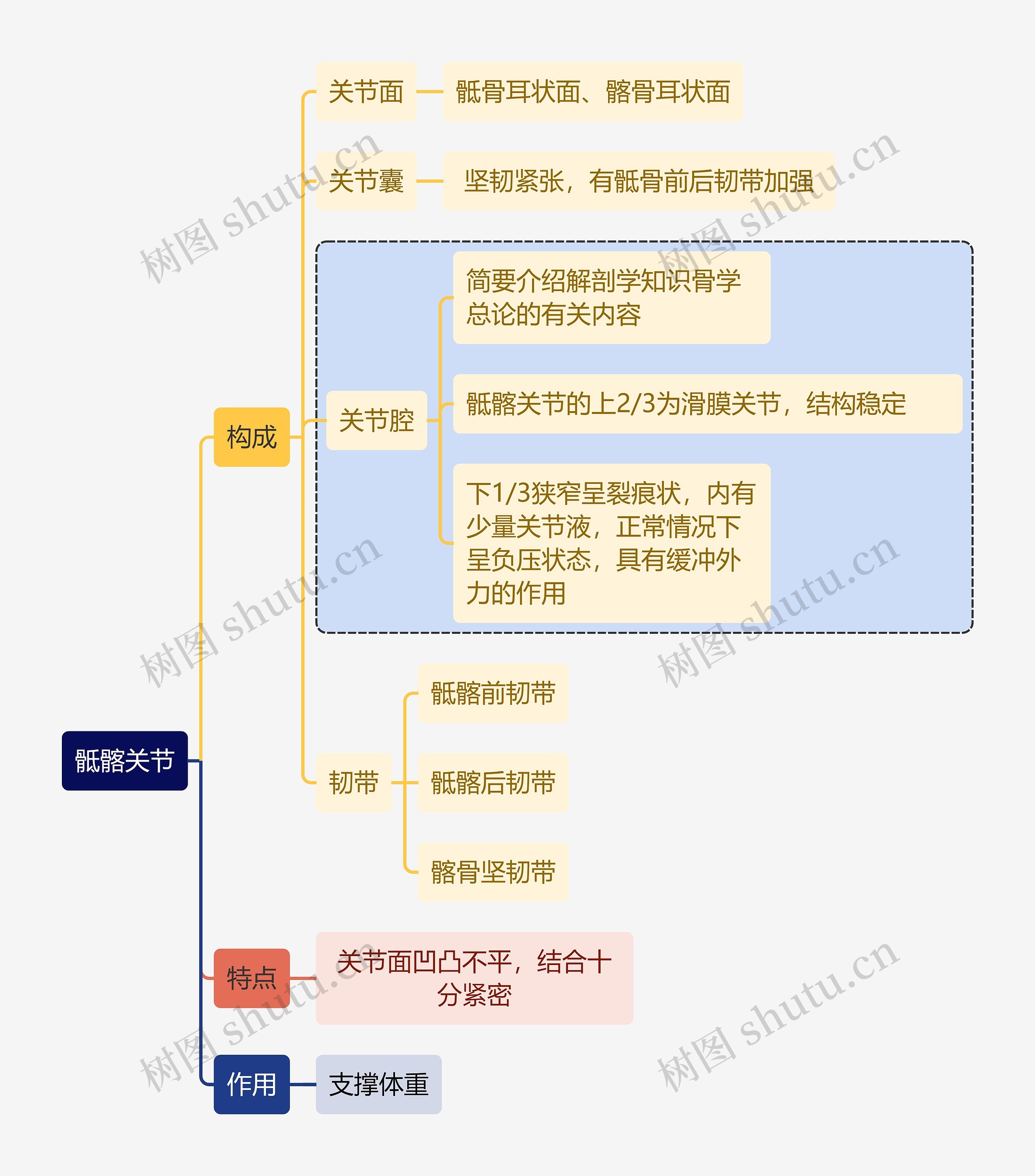 解剖学知识骶髂关节思维导图