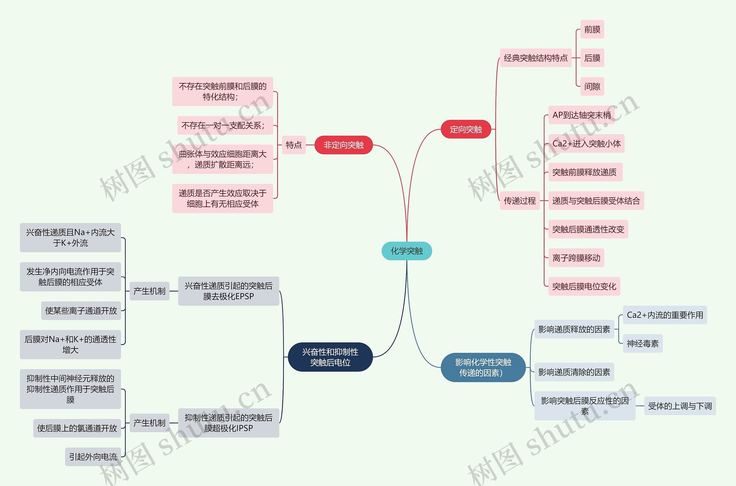 医学知识化学突触思维导图