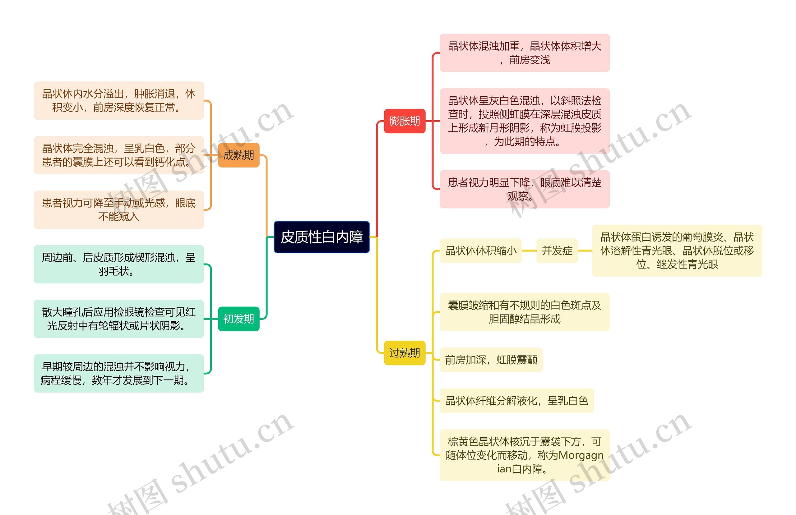 医学知识皮质性白内障思维导图