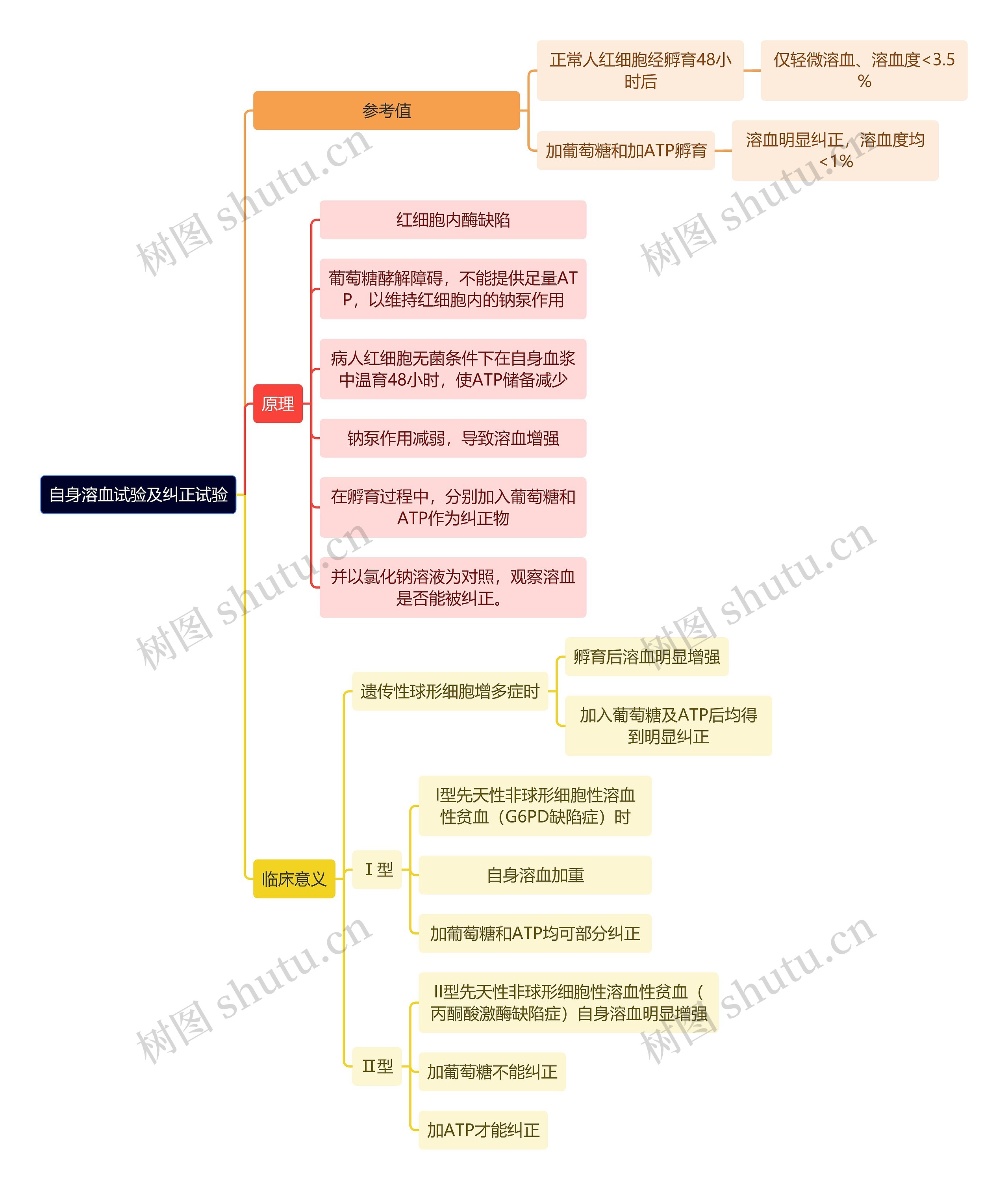 医学知识自身溶血试验及纠正试验思维导图