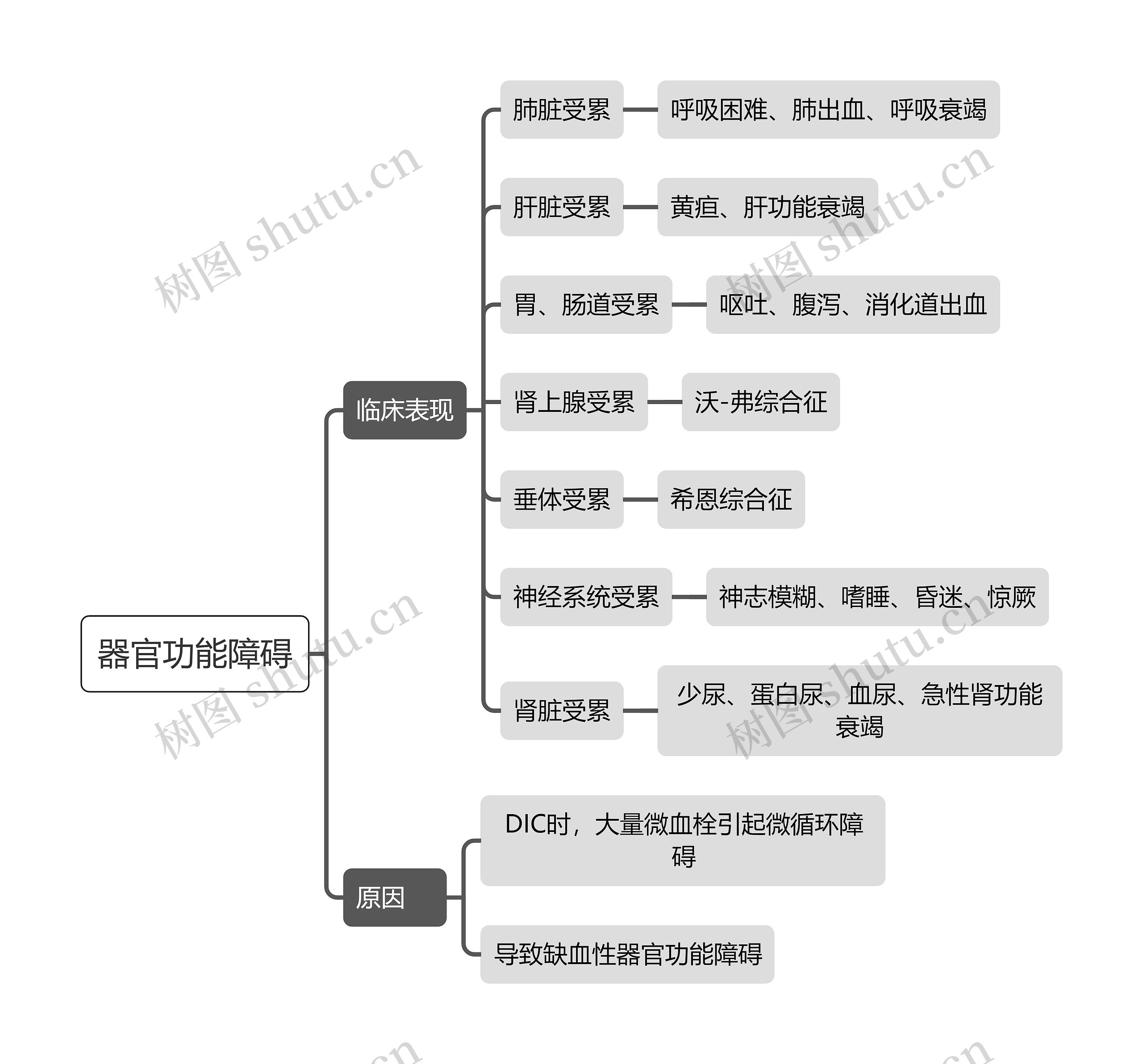 医学知识器官功能障碍思维导图