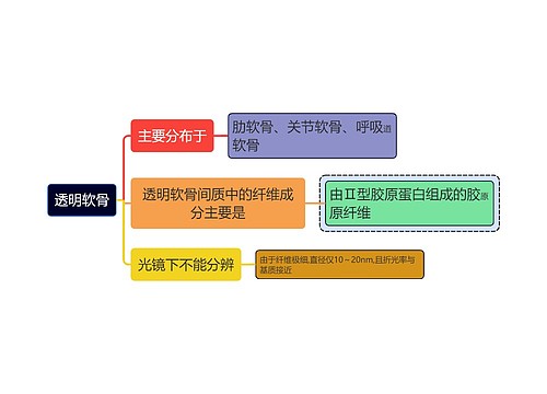 医学知识透明软骨思维导图