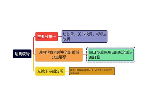 医学知识透明软骨思维导图