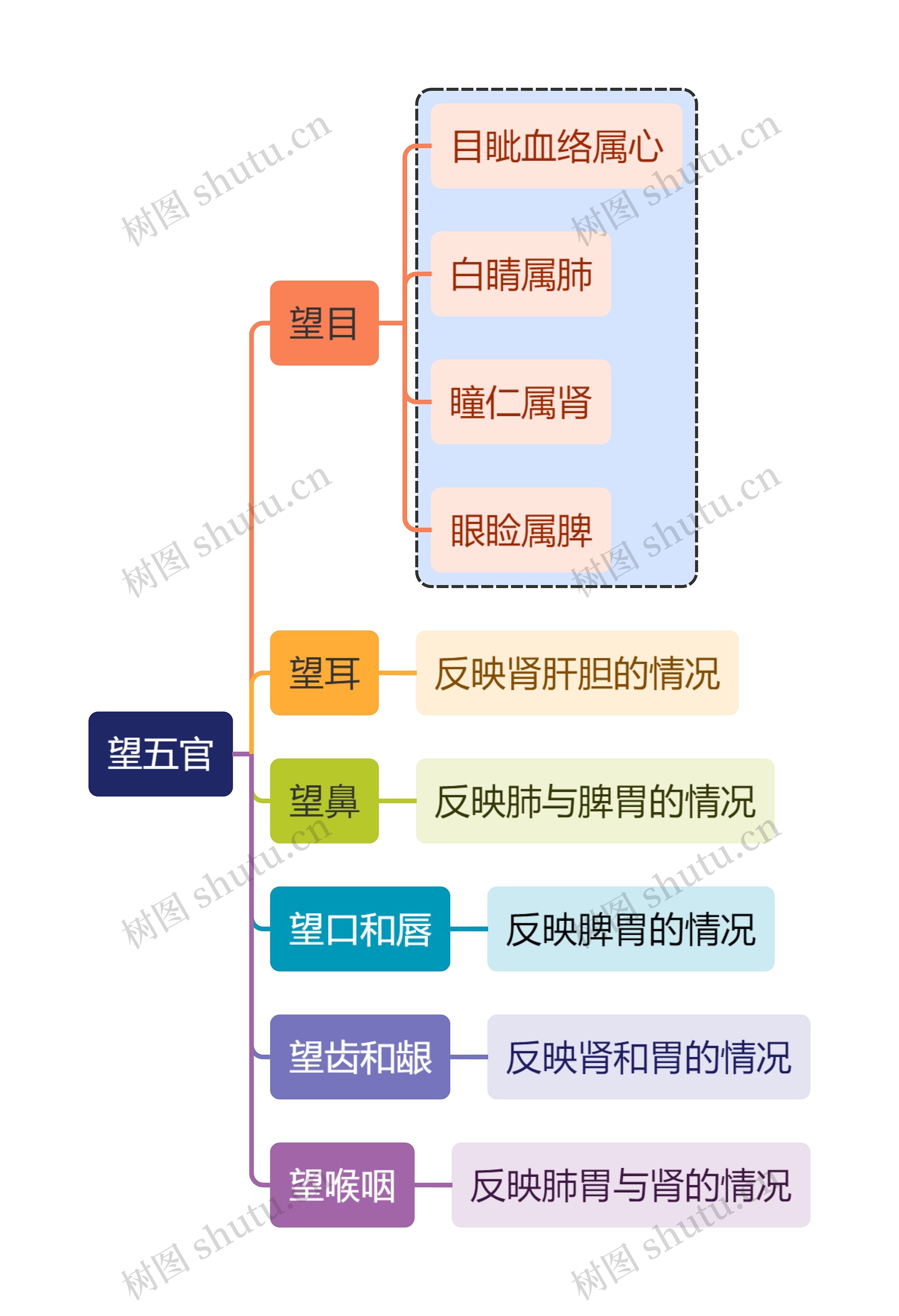 中医知识望五官思维导图