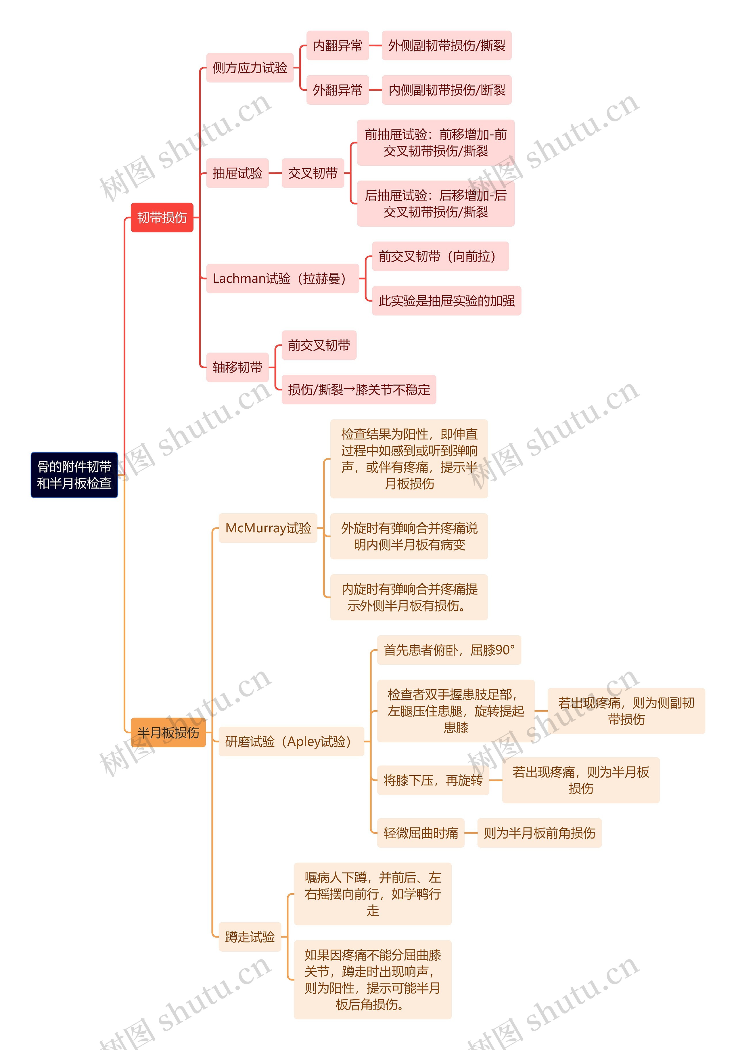 骨学知识骨的附件韧带和半月板检查思维导图