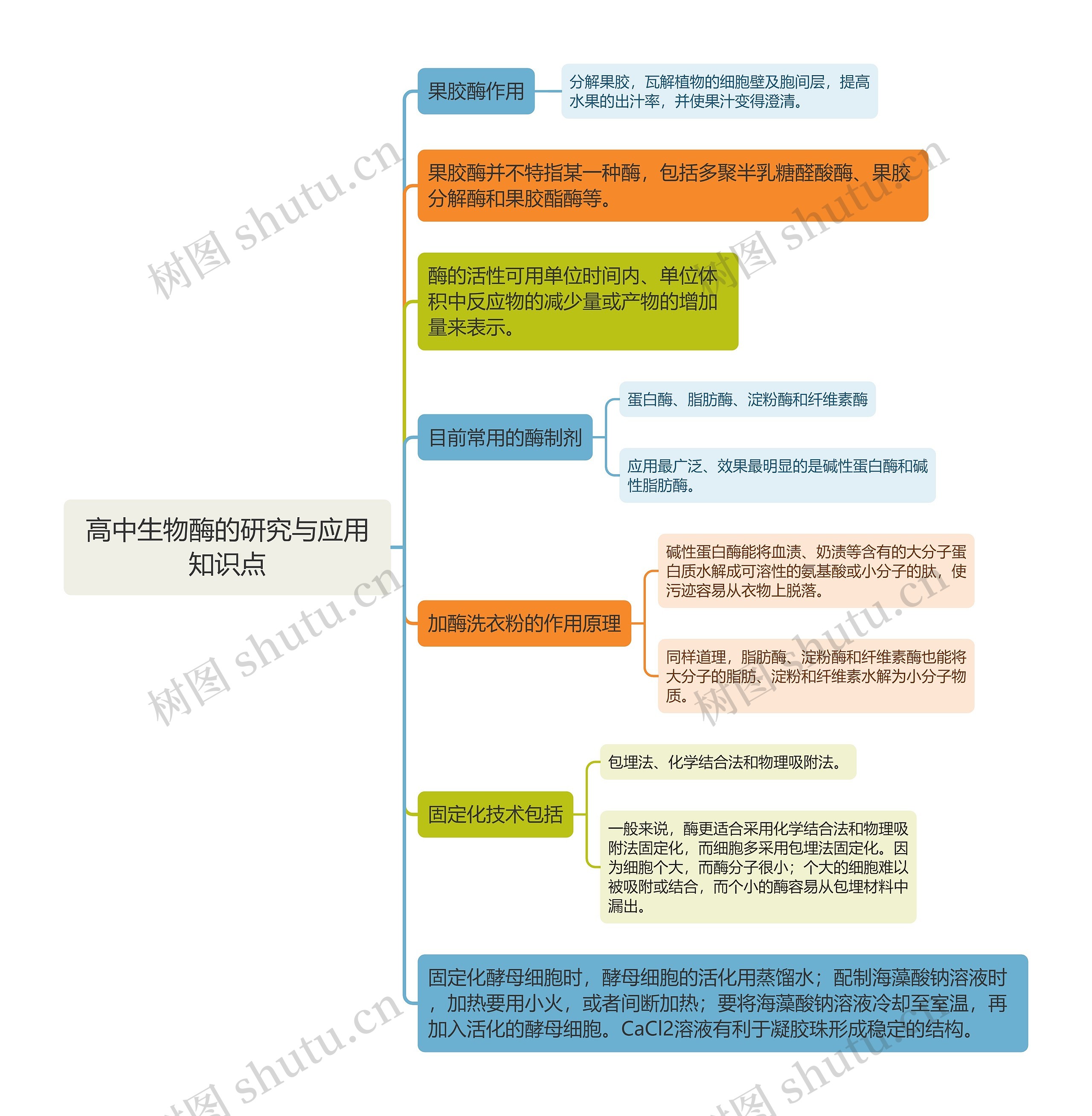 高中生物酶的研究与应用知识点思维导图