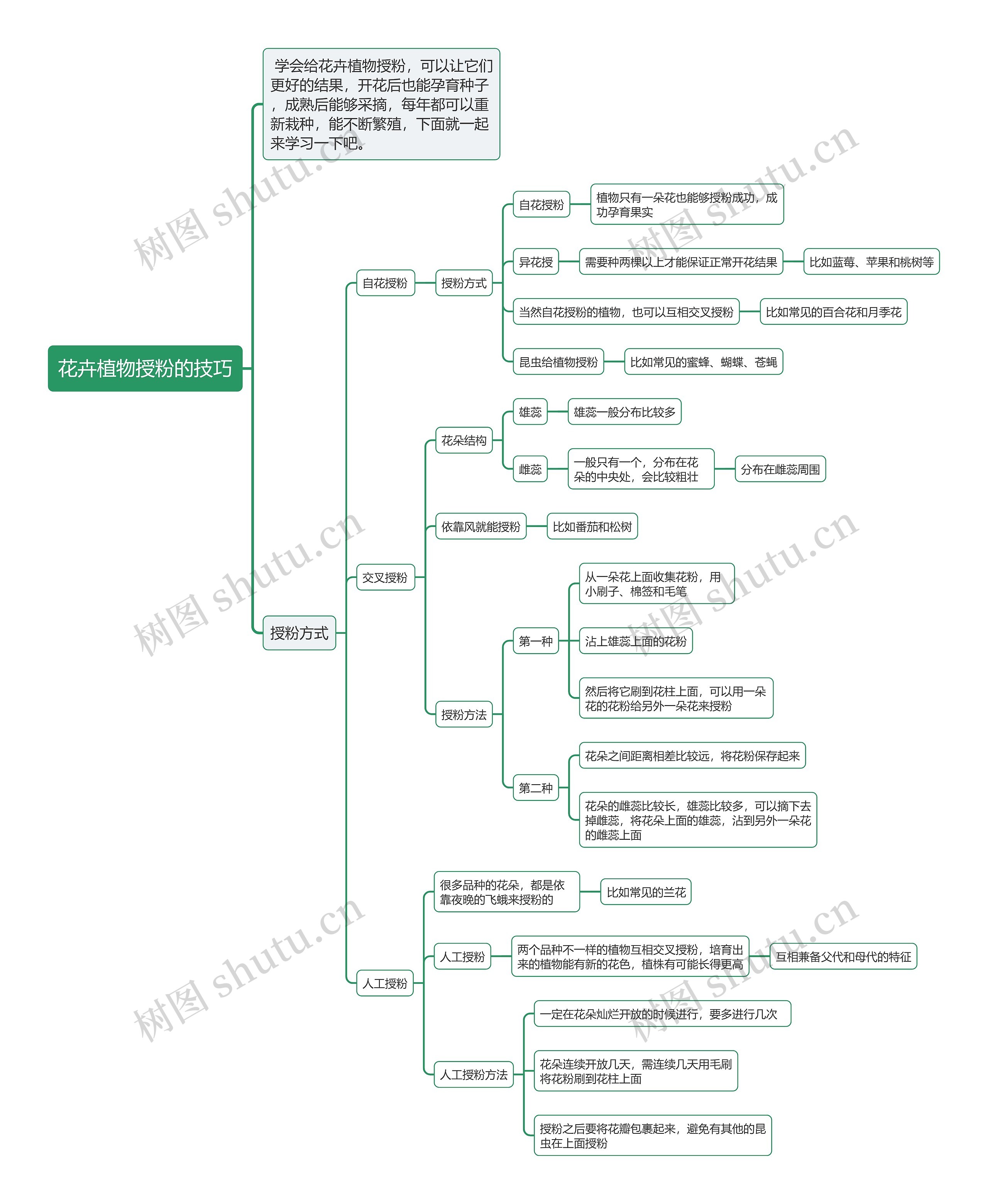 花卉植物授粉的技巧思维导图