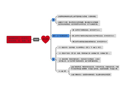 《系统解剖学三（肌学五）消化系统、咽、食管、胃》思维导图