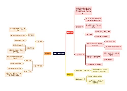 中医知识脾的主要生理功能思维导图