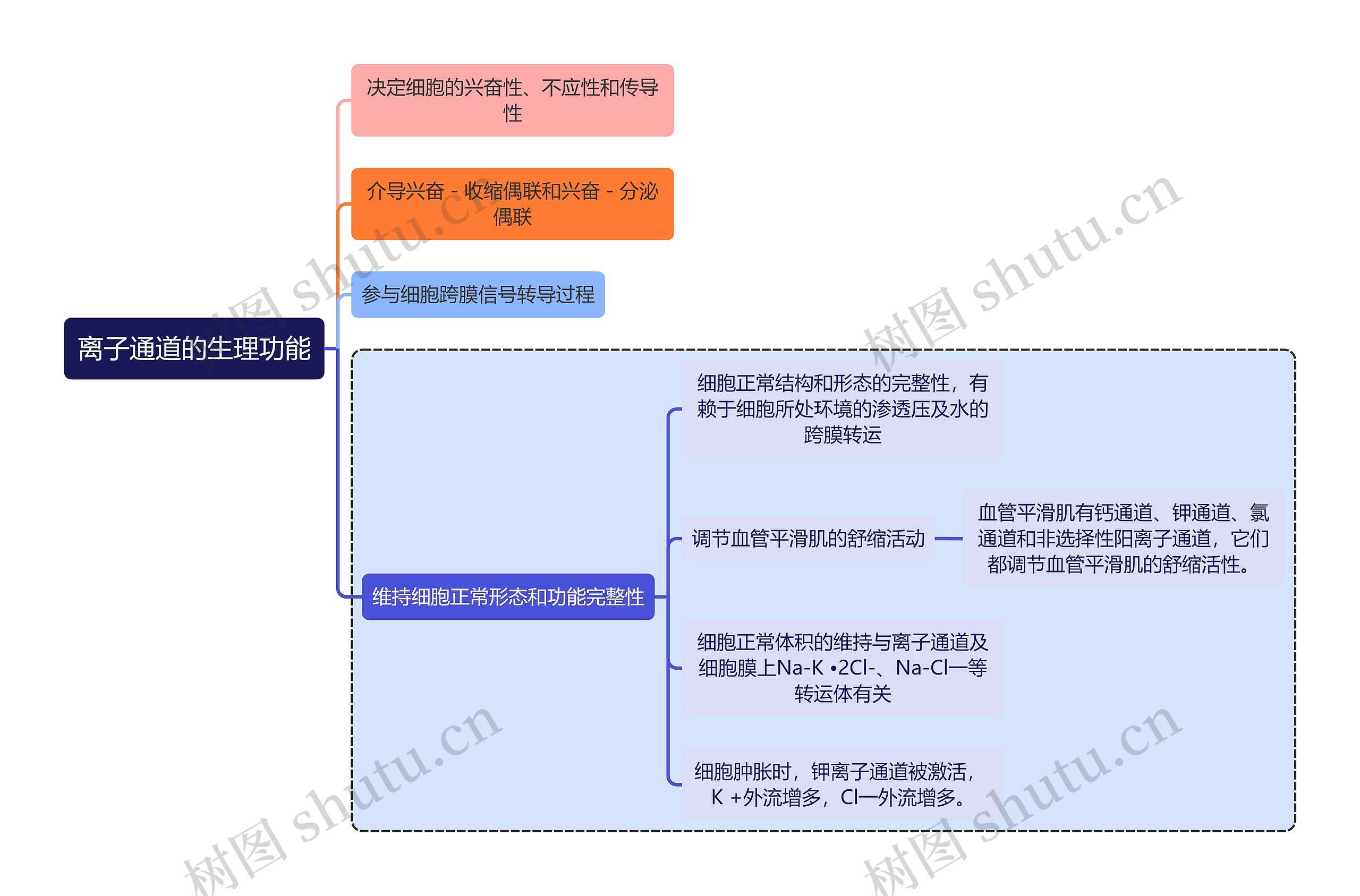 医学离子通道的生理功能思维导图