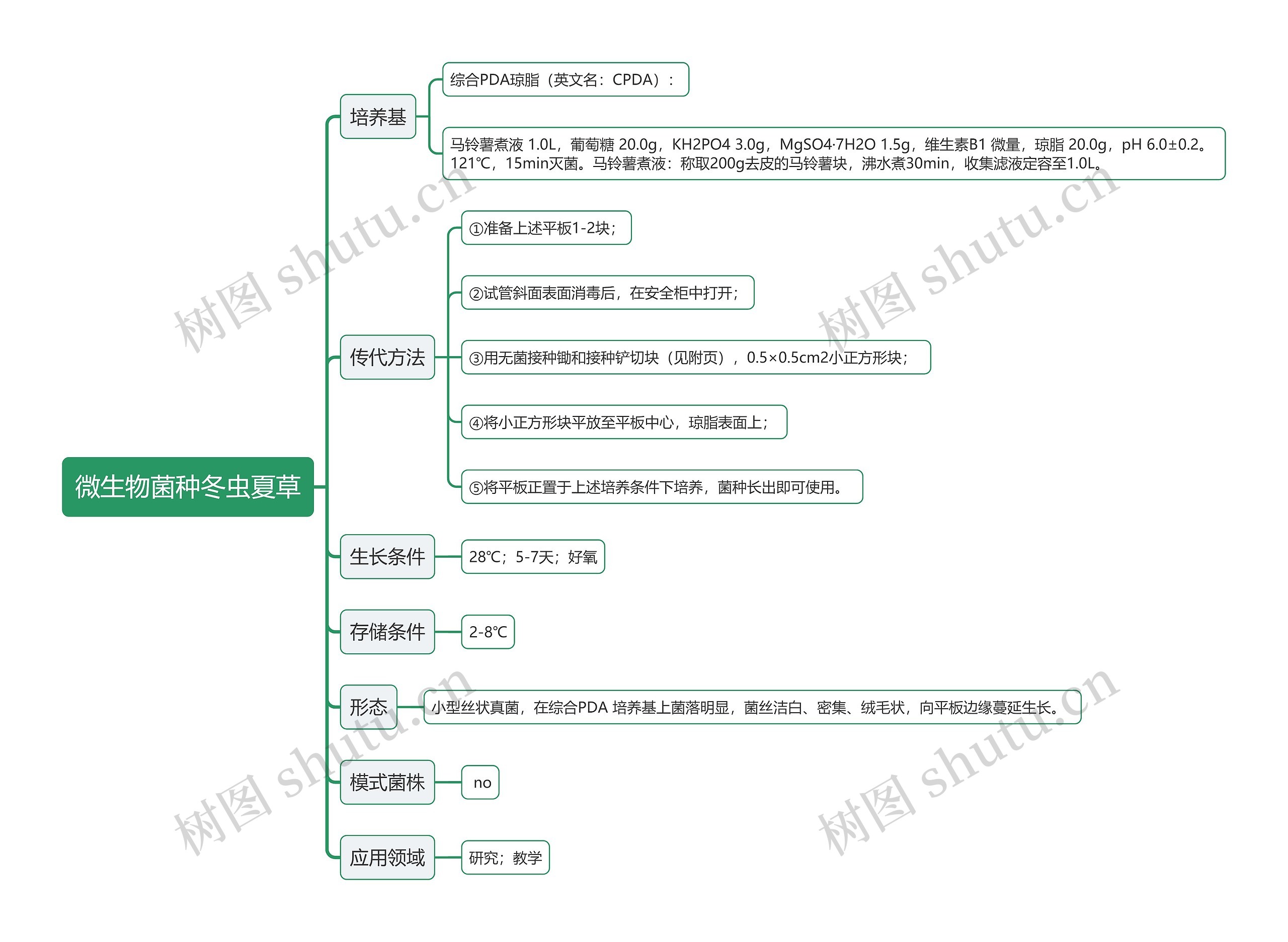 微生物菌种冬虫夏草思维导图