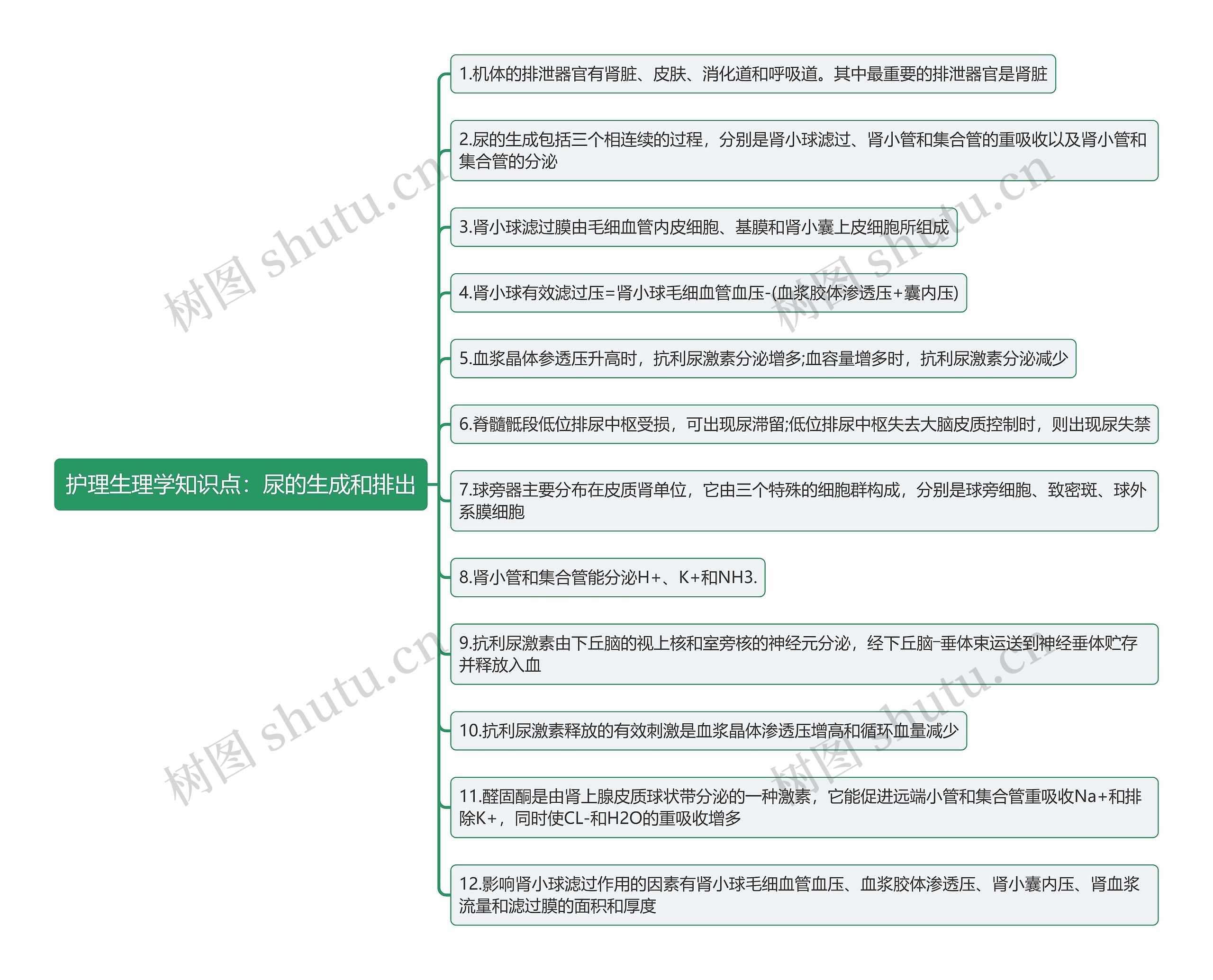 护理生理学知识点:尿的生成和排出思维导图高清图 护理生理学知识点:尿的生成和排出思维导图