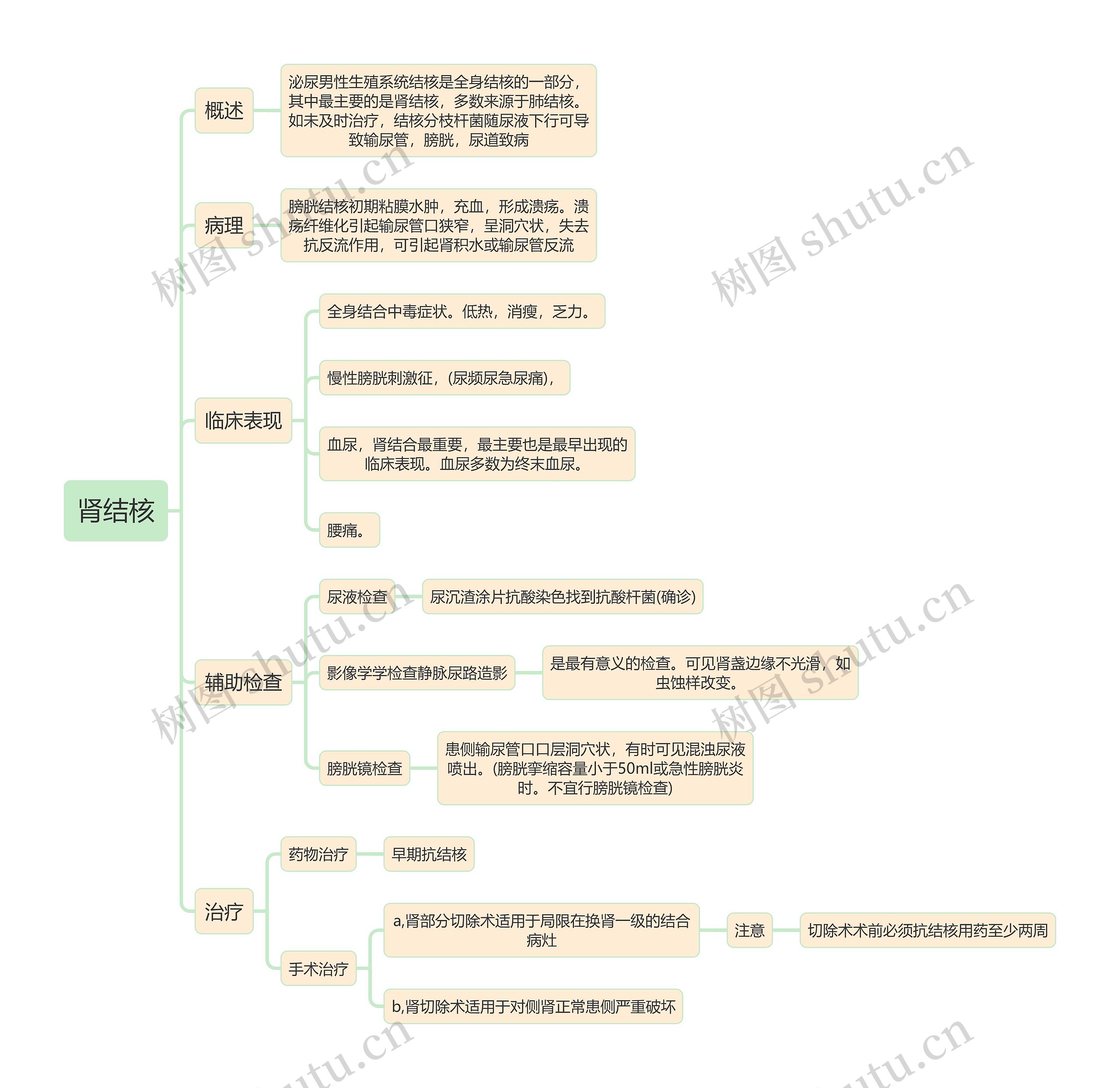 内科知识肾结核思维导图