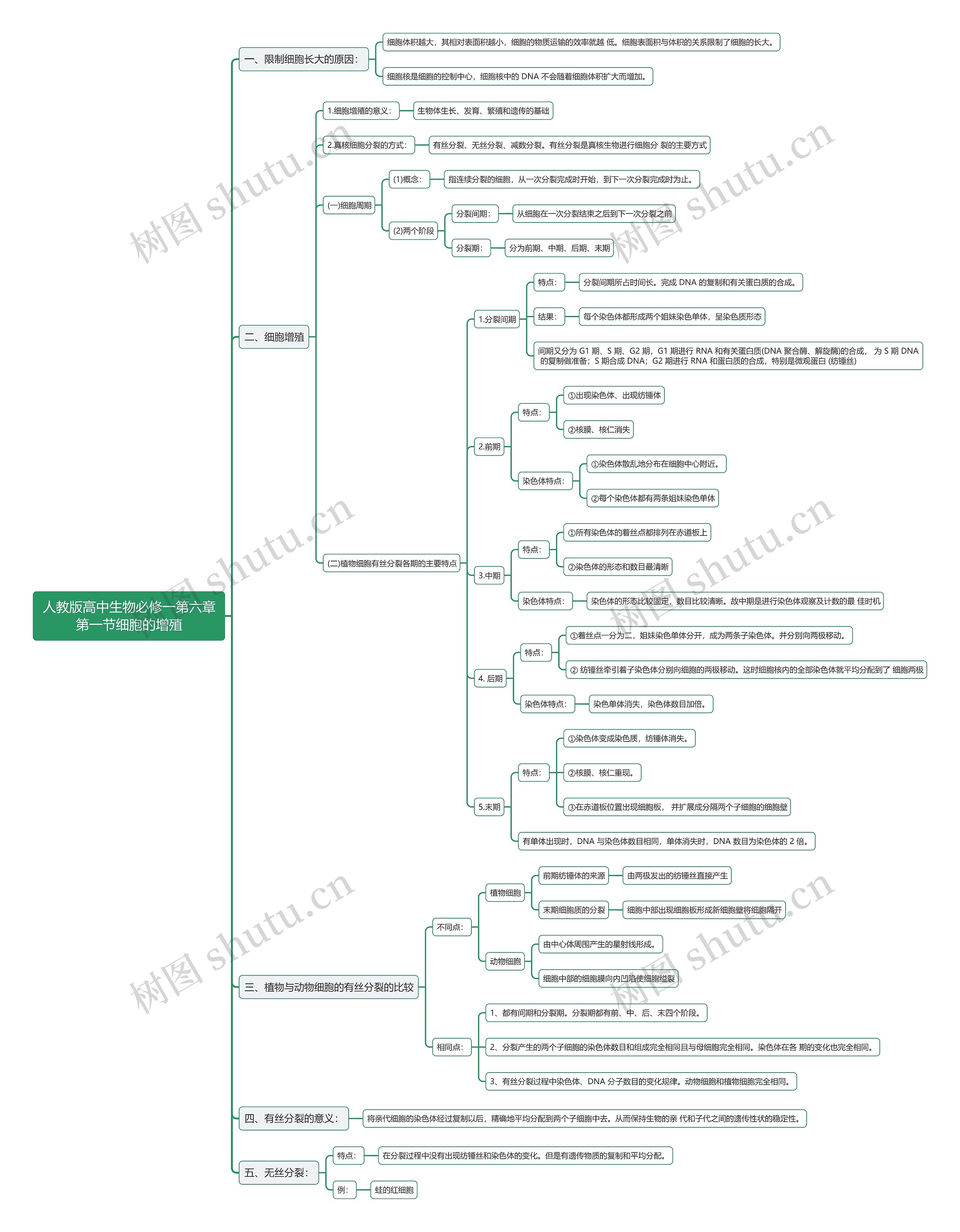 人教版高中生物必修一第六章第一节细胞的增殖思维导图高清图 人教版高中生物必修一第六章第一节细胞的增殖思维导图
