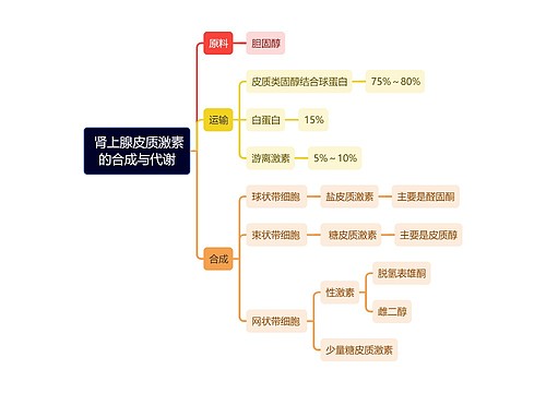 医学知识 肾上腺皮质激素的合成与代谢思维导图