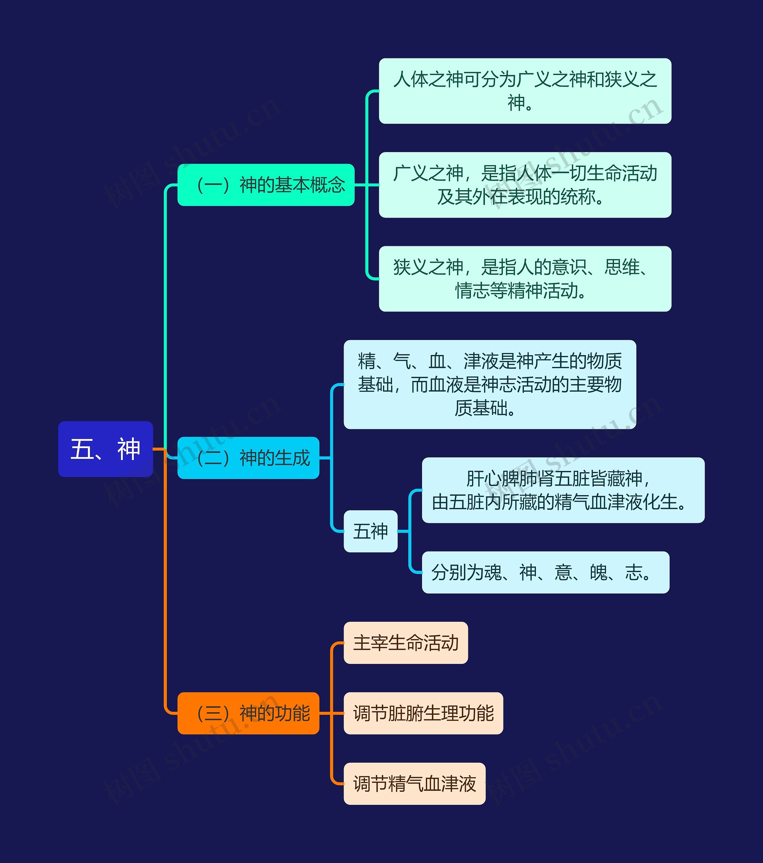 中医知识五神思维导图