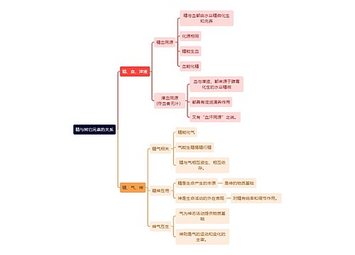 中医知识精与其它元素的关系思维导图