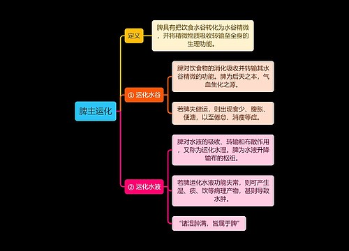 中医知识脾主运化思维导图