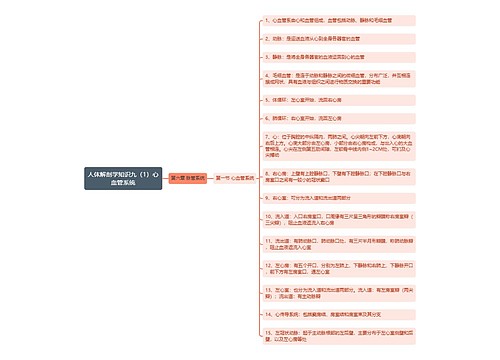 《人体解剖学知识九（1）心血管系统》思维导图