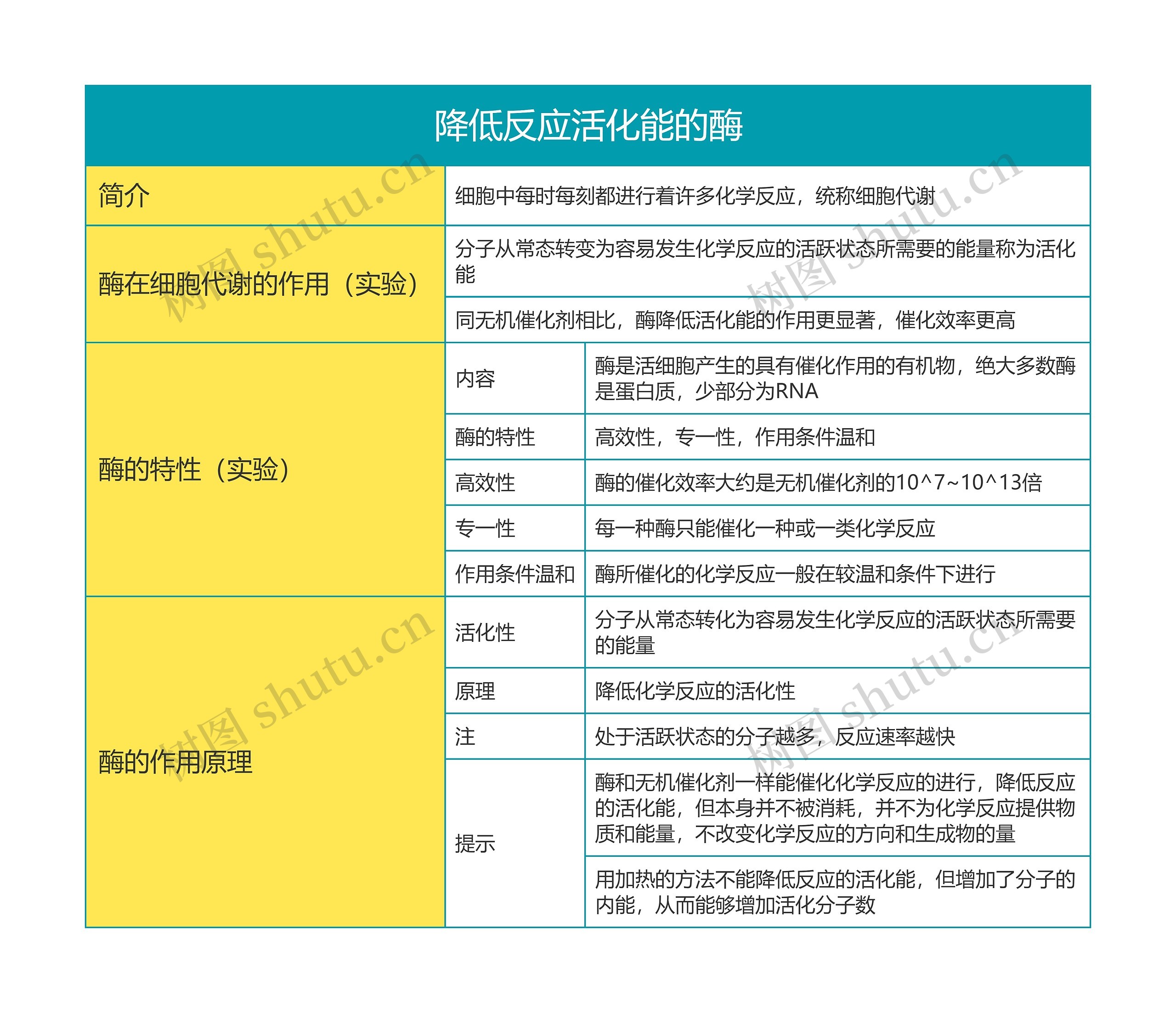 高中生物必修一第五单元降低反应活化能的酶思维导图