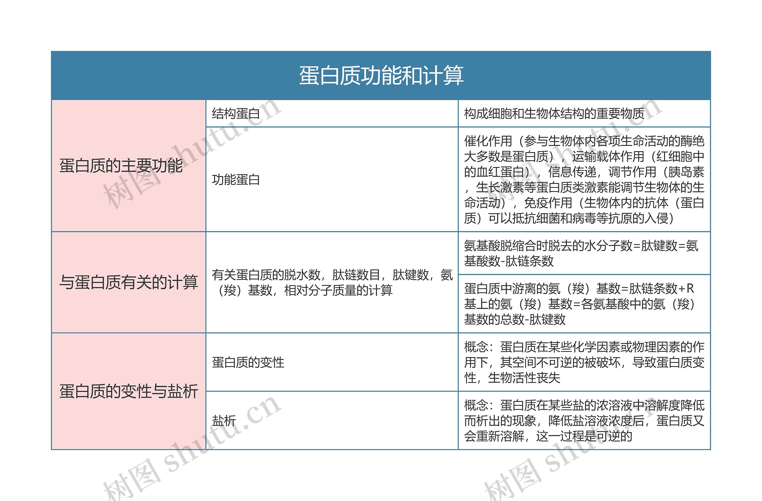 高中生物必修一蛋白质功能和计算思维导图