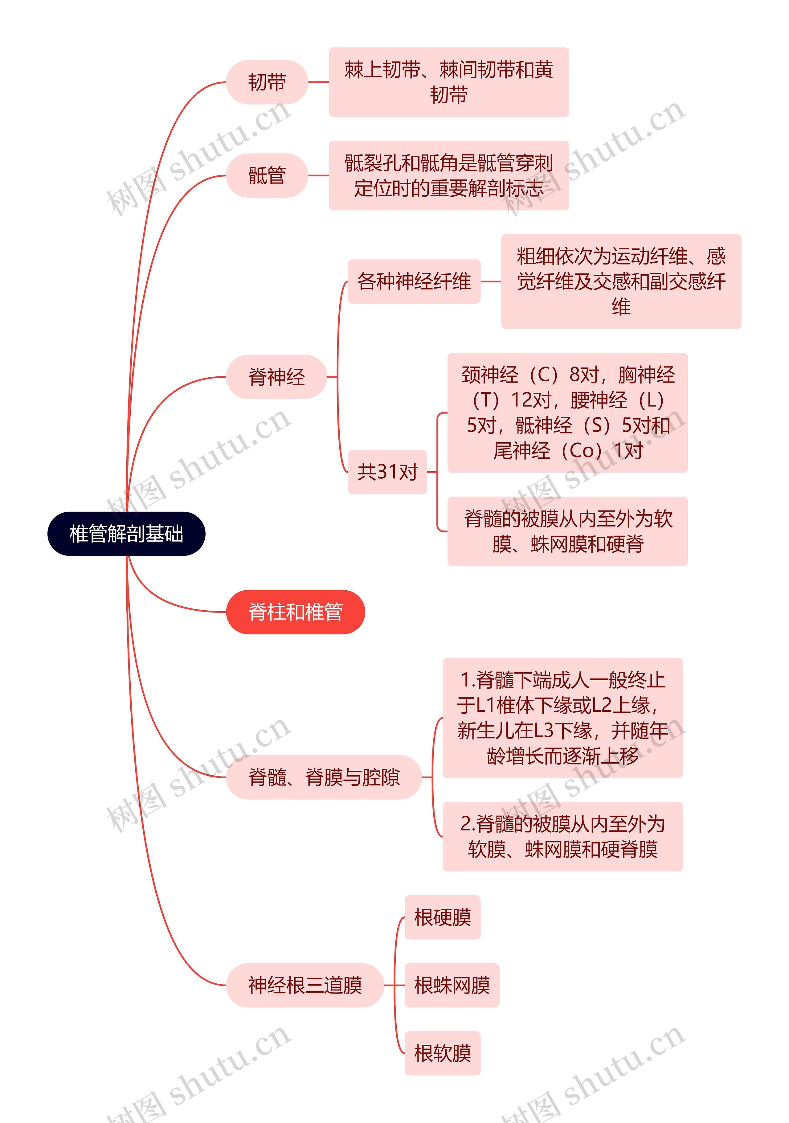 医学知识椎管解剖基础思维导图