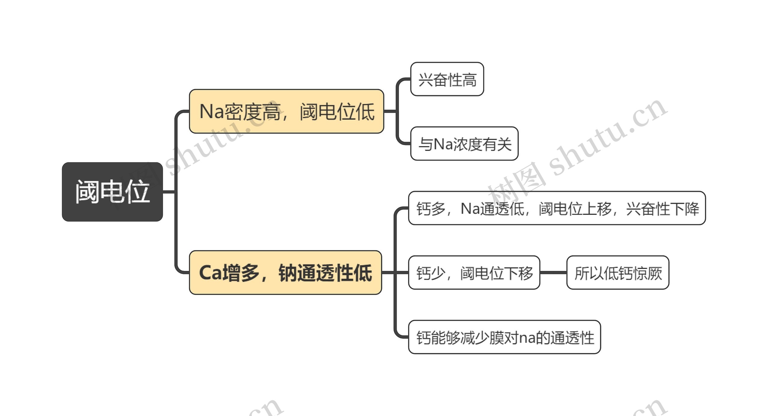 医学知识阈电位思维导图