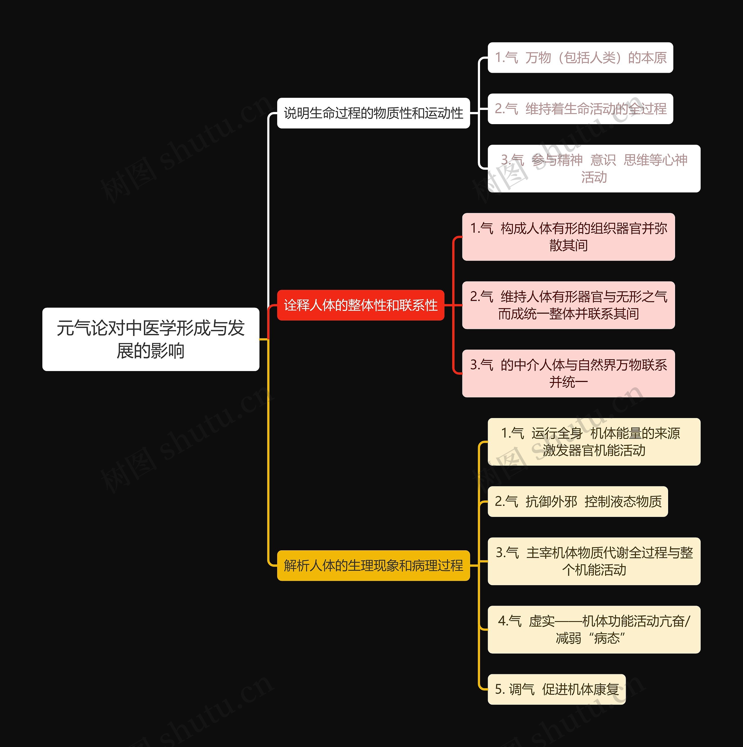 中医元气论对中医学形成与发展的影响思维导图